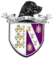 Chilbrook Shield