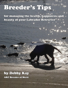Debby_Kay_Breeder_Tips-cover